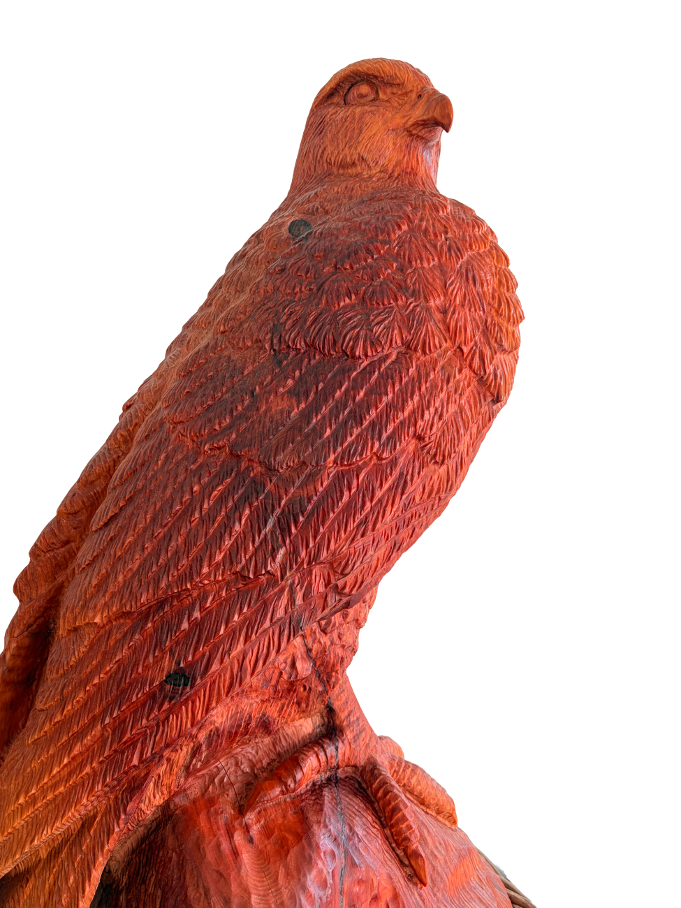 Peregrine Falcon, carved redwood, by Robot Cossey